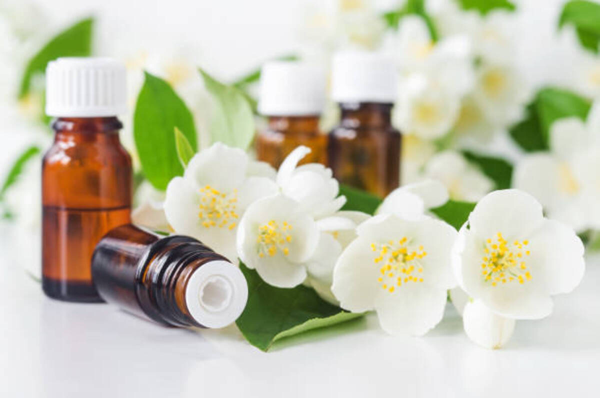 5 Lợi Ích Của Tinh Dầu Trà Trắng Trong Dung Dịch Vệ Sinh Bạn Nên Biết